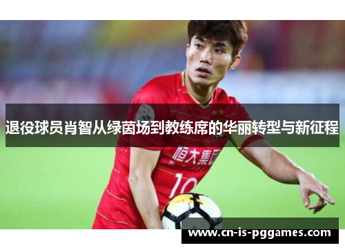 退役球员肖智从绿茵场到教练席的华丽转型与新征程