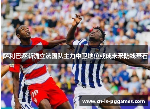 萨利巴逐渐确立法国队主力中卫地位或成未来防线基石